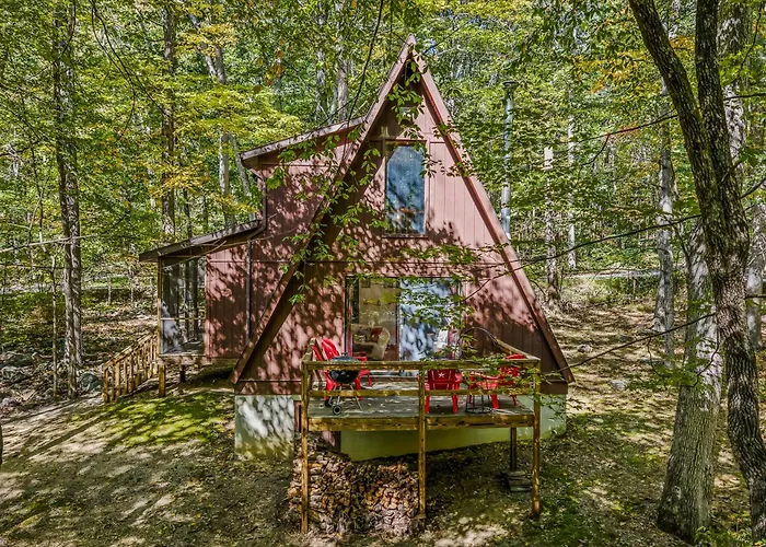 Cozy - Experience It All