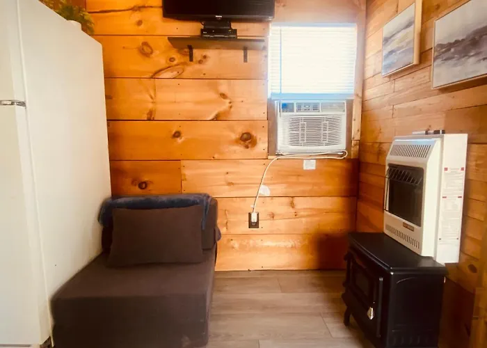 Cozy Little Cabin