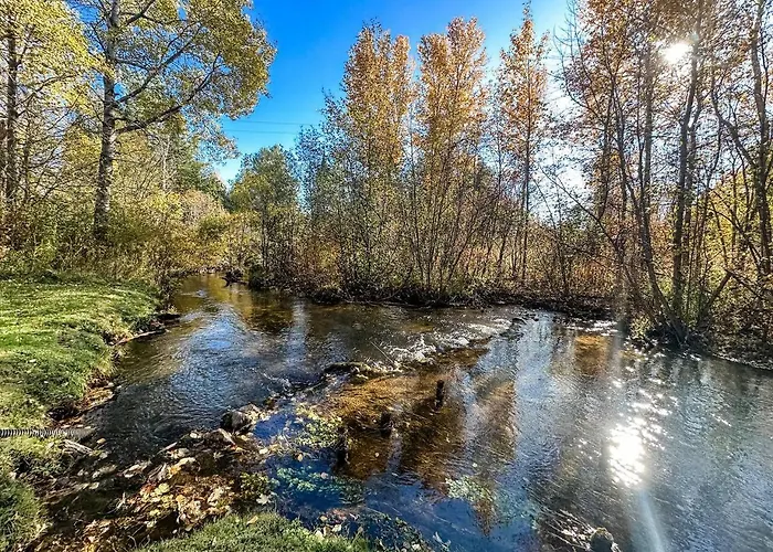 Cedar River Home Pet Friendly