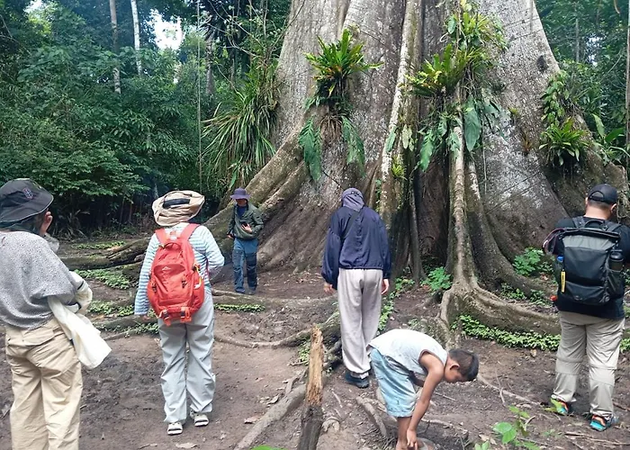 Amazon Macambo Lodge