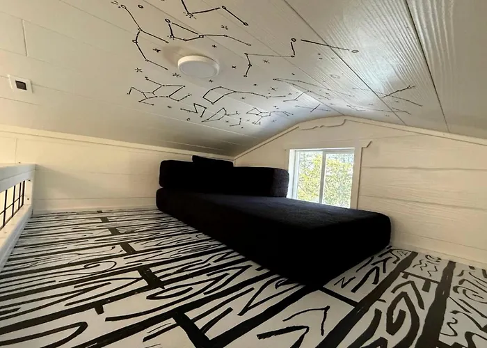 Whimsical Lakefront Tiny Home With Hand-Drawn Doodle Design Near Bastrop, Texas