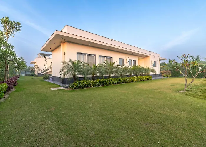 Elivaas Signature Levante Farms