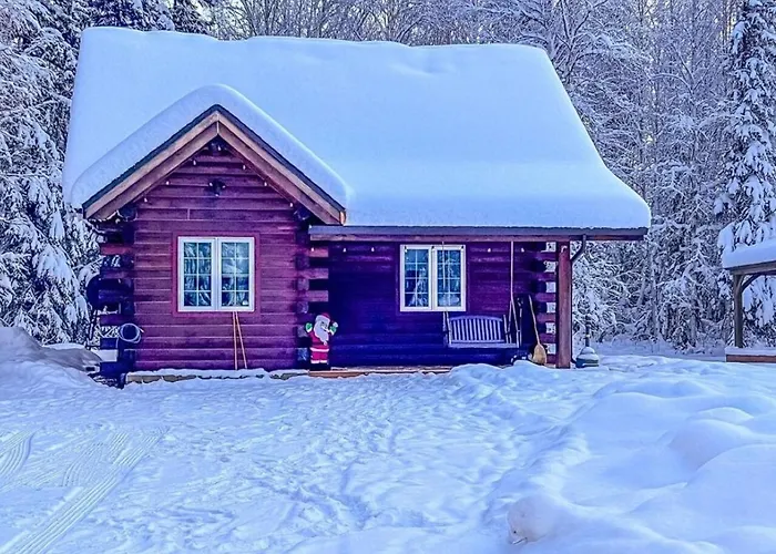 Northern Lights Log House W/ Sauna