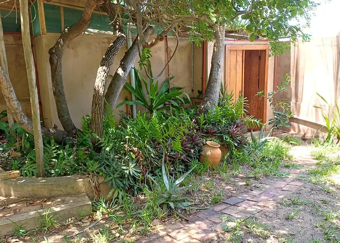 Turtle Cove Self-Catering