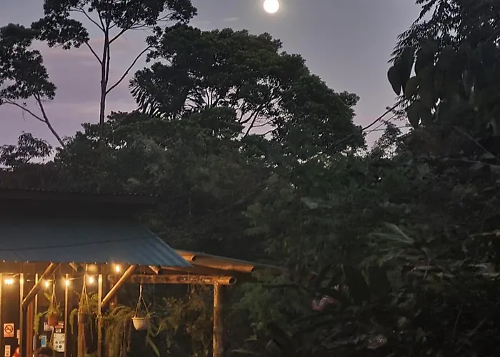 Cecropia Ecolodge