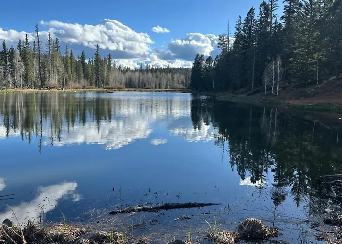 The Duck Creek Village Getaway