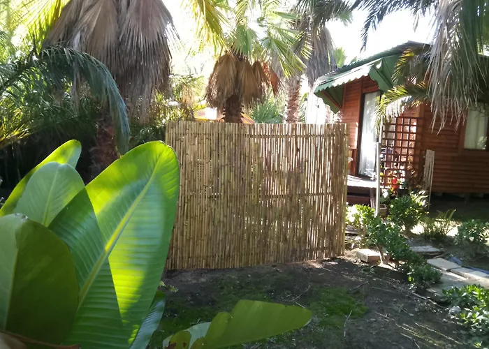 The Farmhouse Palm Tree Cabin