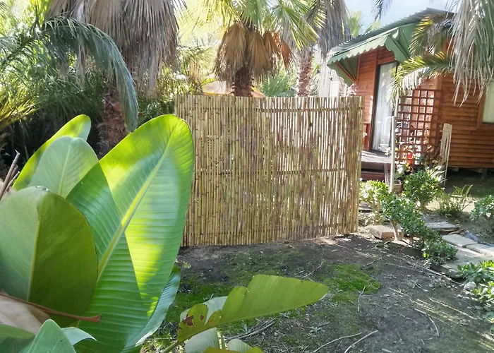 The Farmhouse Palm Tree Cabin
