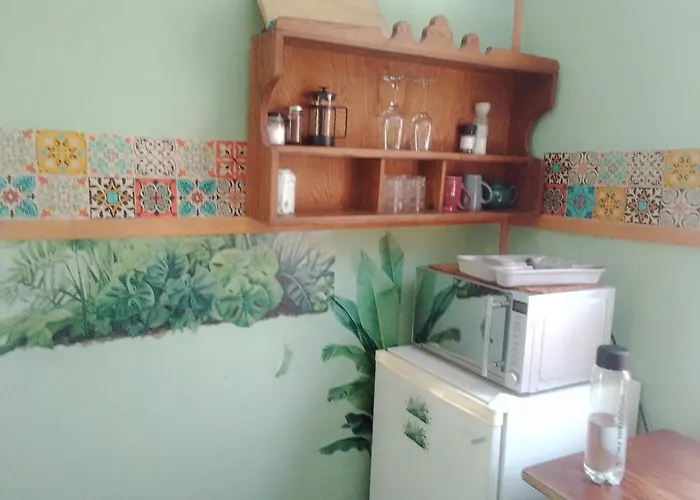 The Farmhouse Palm Tree Cabin