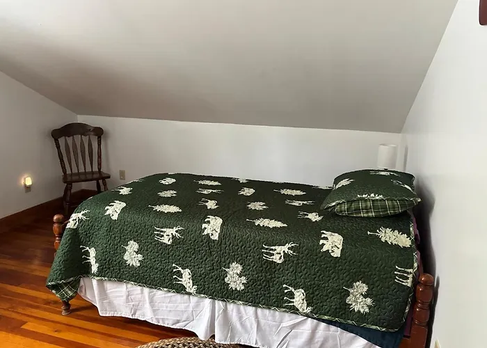 Moose Riverside Bungalow 3Br Home Old Forge Ny