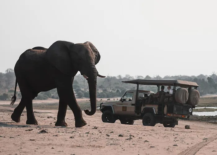 Chobe House Villa And Chalets