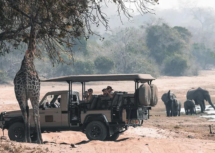 Chobe House Villa And Chalets