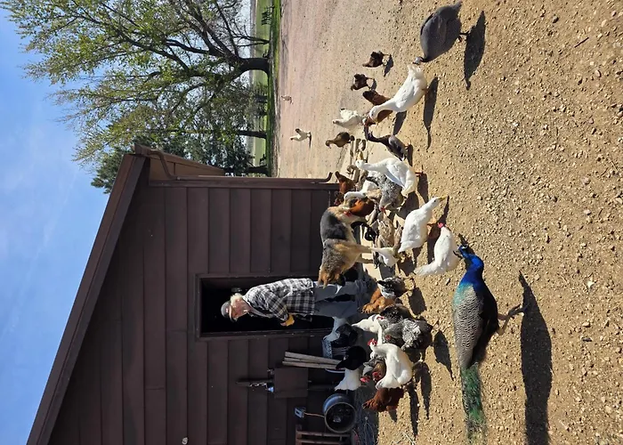 Rustic Shadows - Sioux Falls Escape, Firepit, Pet Friendly!