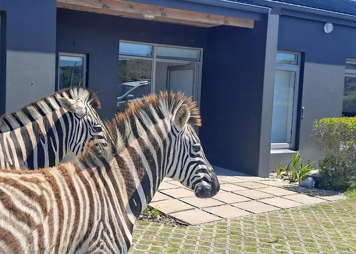 Romansbaai Beach House