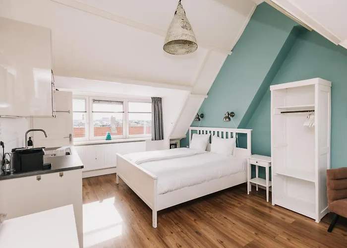 Divi Divi Zandvoort