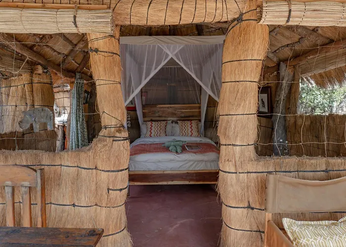 Mcbrides Safari Camp - Kafue National Park - Zambia