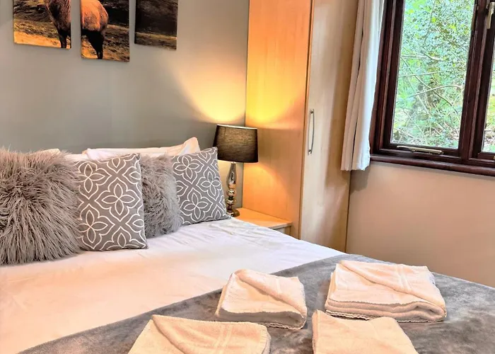Wren 21-Hot Tub-Woodland Lodges-Tenby-Camarthenshire