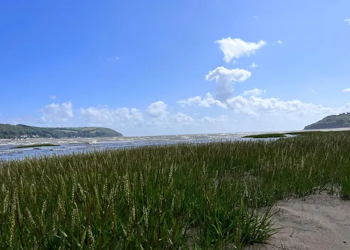 Llansteffan 2-Bed Cottage Sleeps 4 Dog Ok