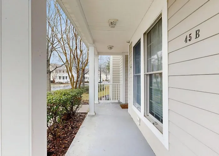 Bear Trap --- 45B Willow Oak Avenue