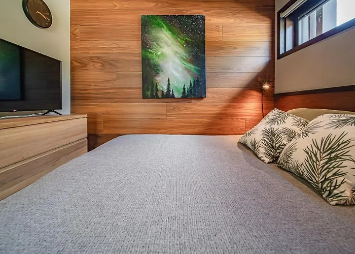 Levi Platinum Aurora