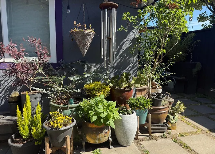 The Orange Door Bungalow- 2-Br W Private Yard, Walkable To Cafes & Restaurants, 10 Min To Dt