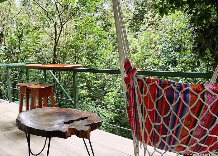 Jungle Living Tree Houses