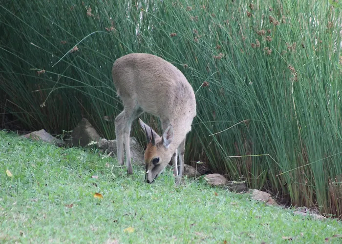 Khululeka Safaris Lodge