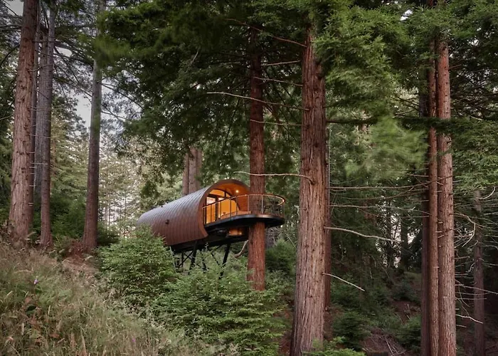 ~* The Spectacular Spyglass Treehouse *~