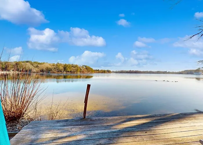 Shoreline Splendor