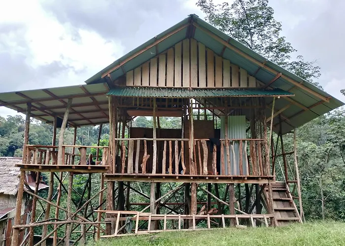 Orangutantreksumatra & Lovely Jungle Lodge Only Book If You Are Treking With Us