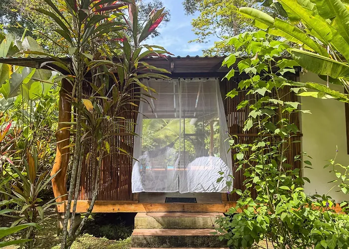 La Rana De Cahuita