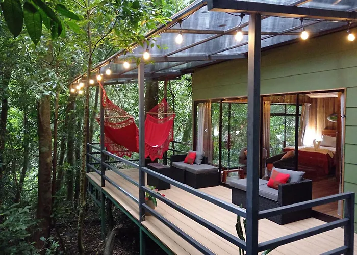 Jungle Living Tree Houses