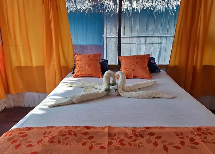 Palo Verde Lodge & Wild Life Tours
