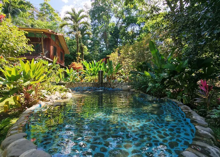 Tropical Forest Adventure Near Arenal Volcano