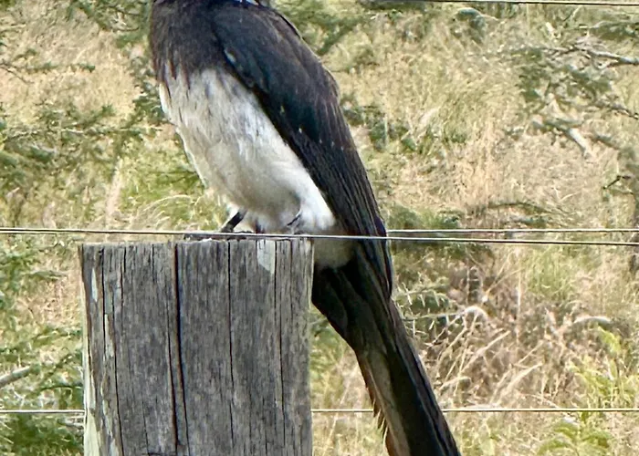 Faru House - Lake Nakuru National Park