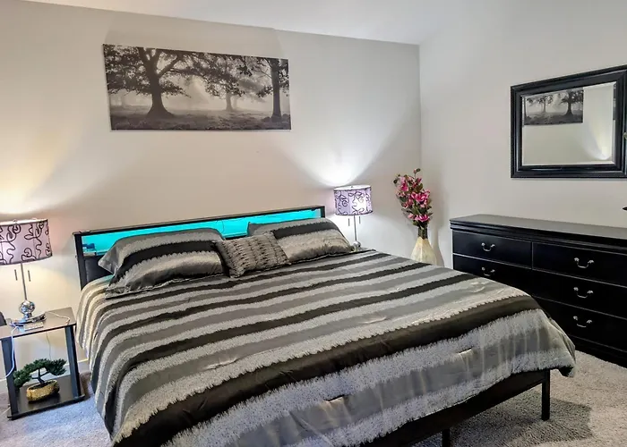 Modern Comfort