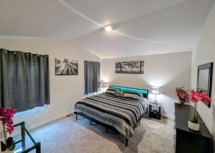 Modern Comfort