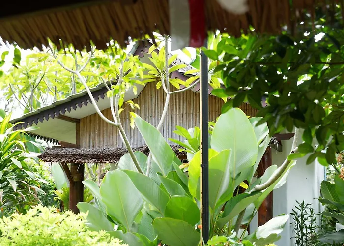 Sumatra Orangutan Discovery Villa