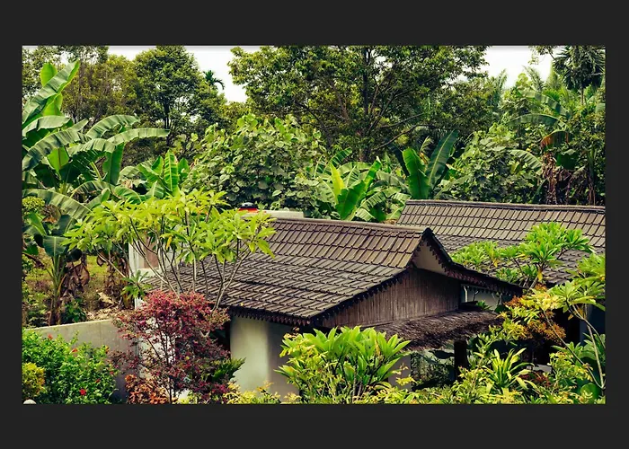 Sumatra Orangutan Discovery Villa