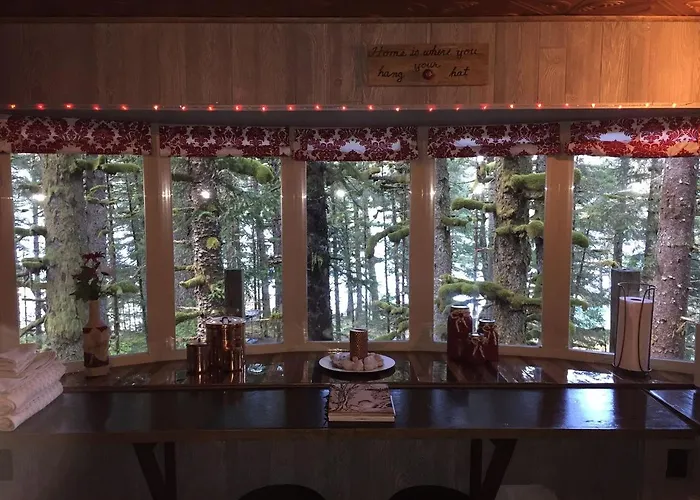 Cute Cabin Nestled In The Trees With Magical Forest Views For A Romantic Escape In Nature Whale Island, Alaska
