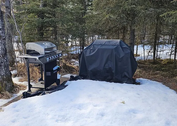 Alaska Summers Lodge Cabin 4-Near Mouth Of Kasilof River
