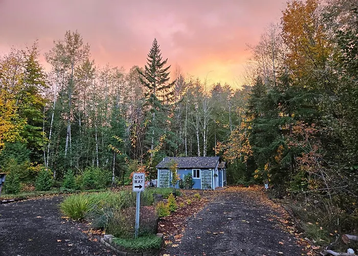 Alder Falls - Modern Woodland Retreat With Lake Access, Ac, Fireplace, Patio, Sleeps 4