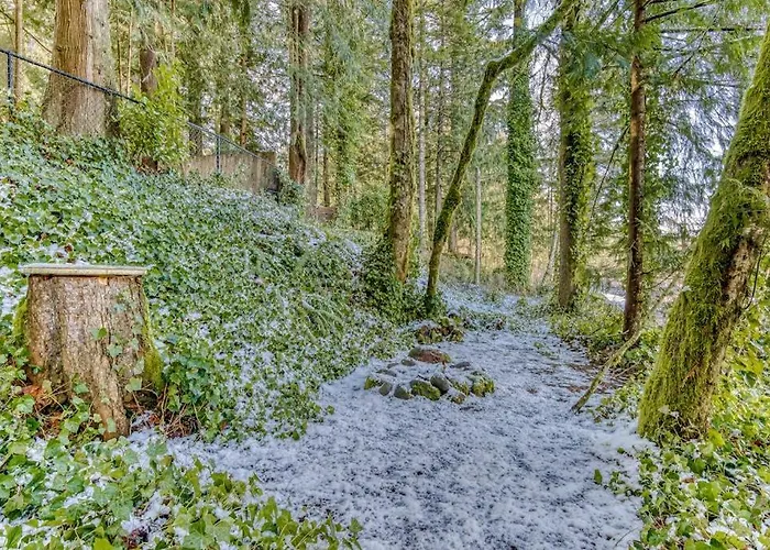 Quiet Riverfront Cabin With Private Hot Tub & Scenic Location