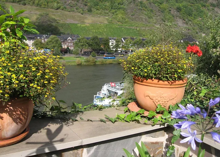 Villa Alte Weinbauschule Cochem