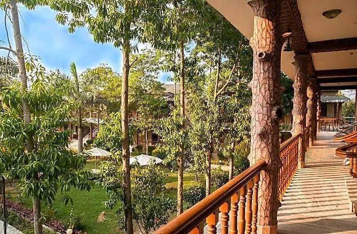 Jungle Safari Lodge