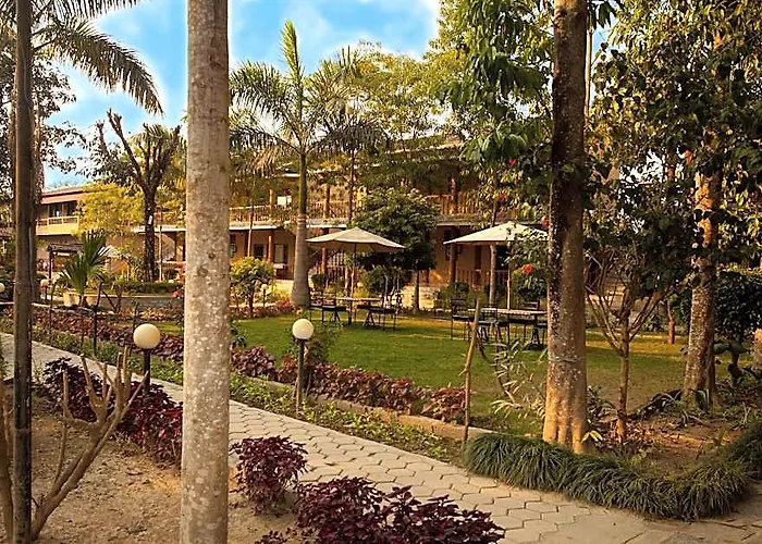 Jungle Safari Lodge