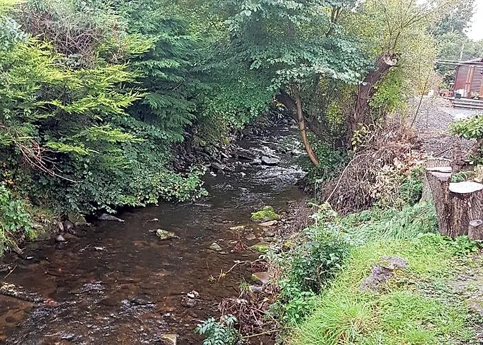 Bear Lodge