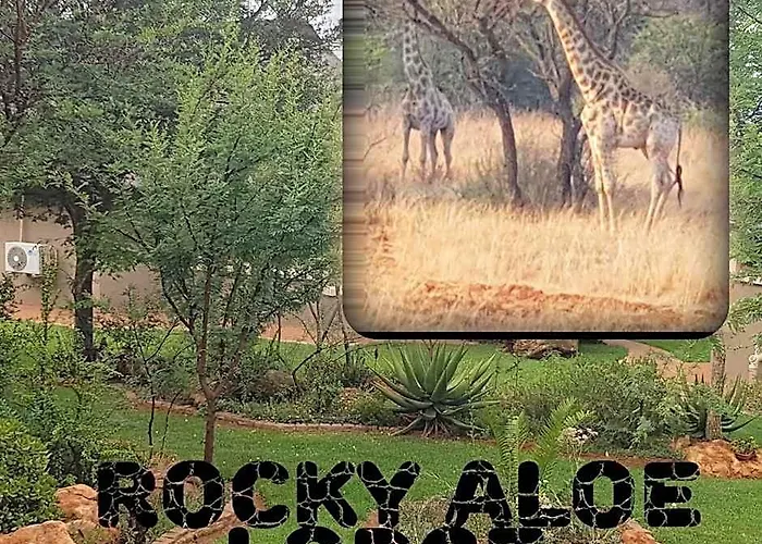 Rocky Aloe Escape