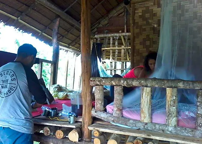 Orangutantreksumatra & Lovely Jungle Lodge Only Book If You Are Treking With Us