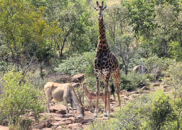 Magari Safari Lodge